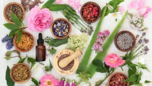 Read more about the article The Benefits of Using Organic and Natural Ingredients in Your Beauty Routine