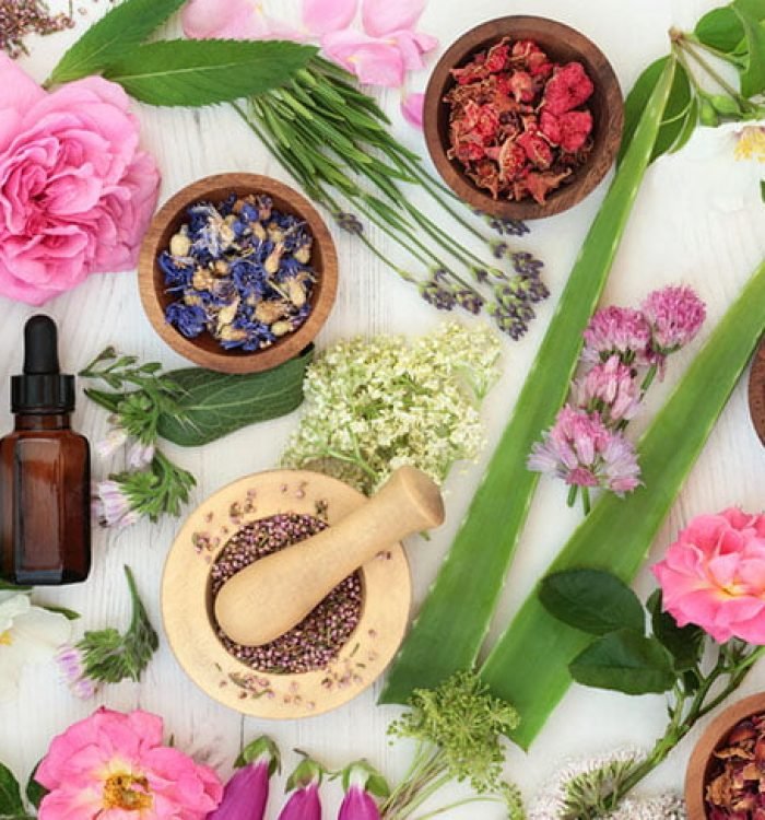 Healing flower and herb selection used in natural alternative medicine on distressed white wood background.